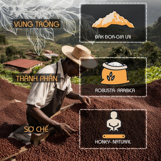 Cà phê Bana Cofe G10 | Cafe rang xay nguyên chất Arabica + Robusta Honey (Rang bơ pha phin) 