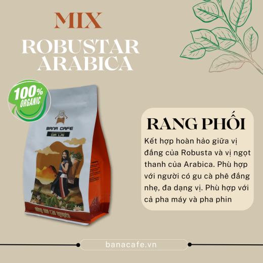 Cà phê Bana Cofe G9 |Cafe rang mộc nguyên chất Arabica+Robusta(Pha phin/Pha máy/Nguyên hạt)