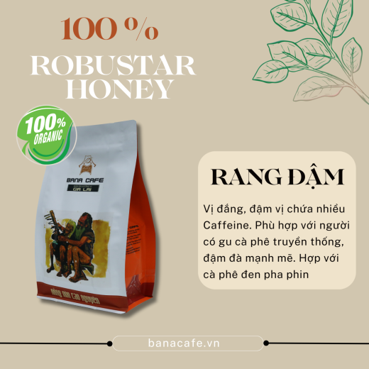 Cà phê Bana Cafe G1 | Cafe rang mộc nguyên chất 100% Robusta (Pha phin/Pha máy/Nguyên hạt) | 